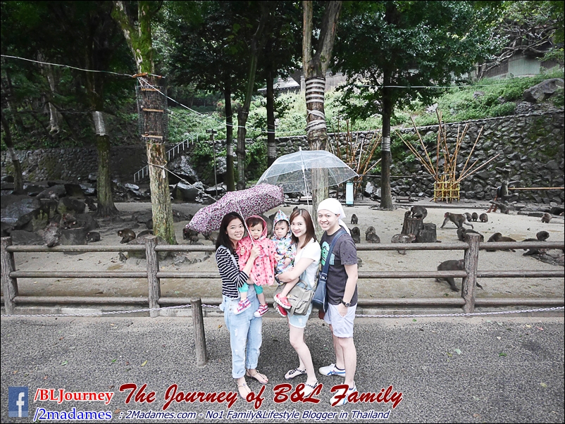 Japan_Kyushu_Fukuoka_Beppu_Takasakiyama monkey park_B&L Family_BLJourney  (8)