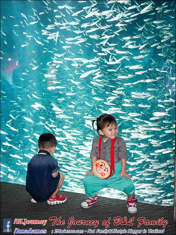 Japan_Kyushu_Fukuoka_Beppu_umitamago aquarium_B&L Family_BLJourney  (15)