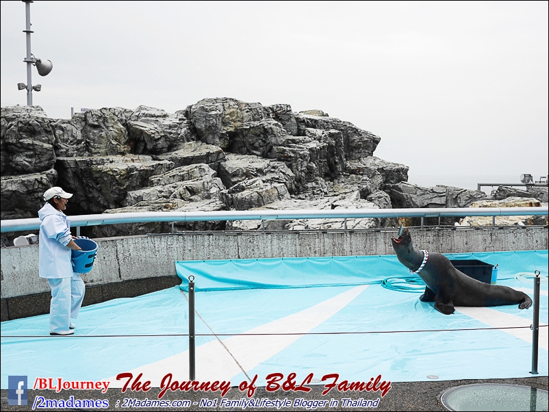 Japan_Kyushu_Fukuoka_Beppu_umitamago aquarium_B&L Family_BLJourney  (22)