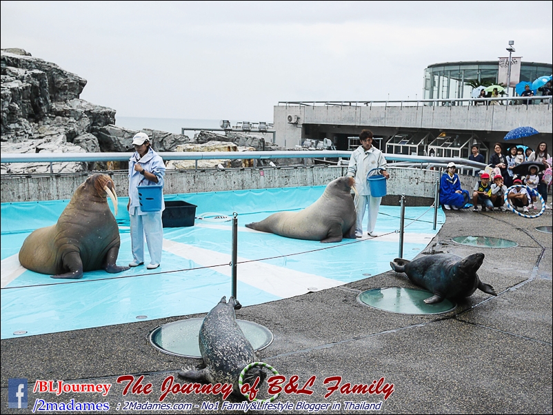 Japan_Kyushu_Fukuoka_Beppu_umitamago aquarium_B&L Family_BLJourney  (26)