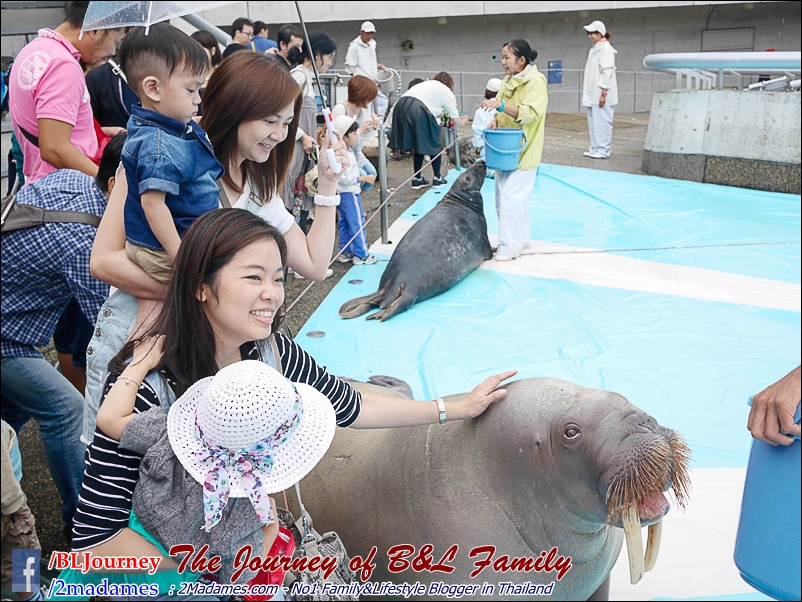 Japan_Kyushu_Fukuoka_Beppu_umitamago aquarium_B&L Family_BLJourney  (29)