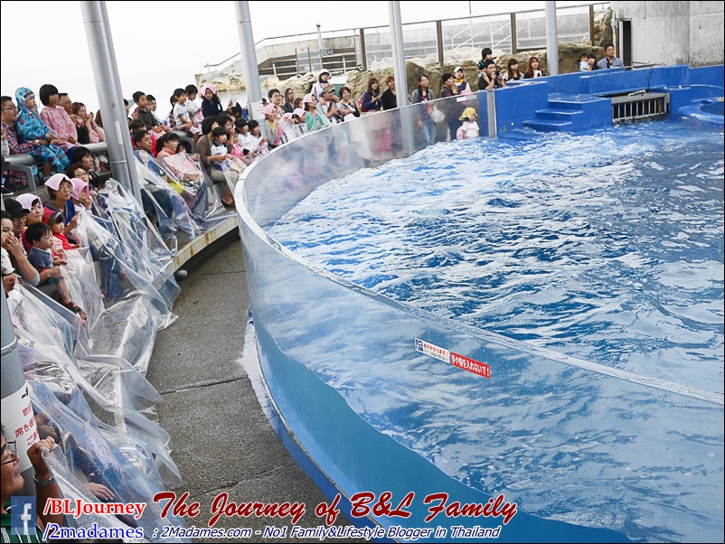 Japan_Kyushu_Fukuoka_Beppu_umitamago aquarium_B&L Family_BLJourney  (30)