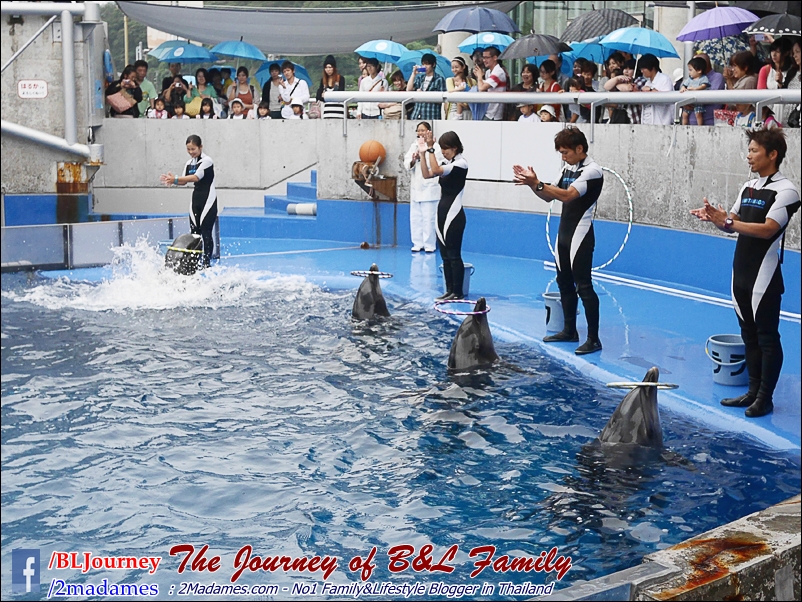 Japan_Kyushu_Fukuoka_Beppu_umitamago aquarium_B&L Family_BLJourney  (31)