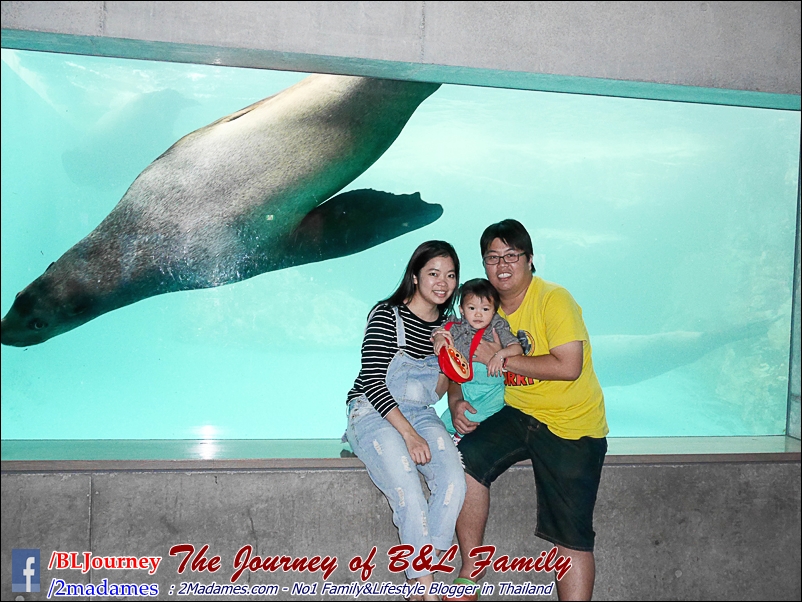 Japan_Kyushu_Fukuoka_Beppu_umitamago aquarium_B&L Family_BLJourney  (51)