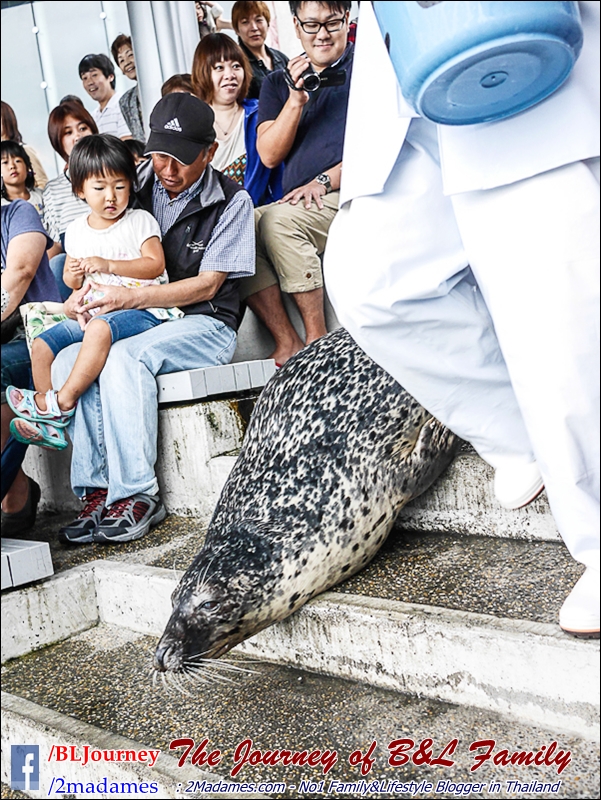 Japan_Kyushu_Fukuoka_Beppu_umitamago aquarium_B&L Family_BLJourney  (6)