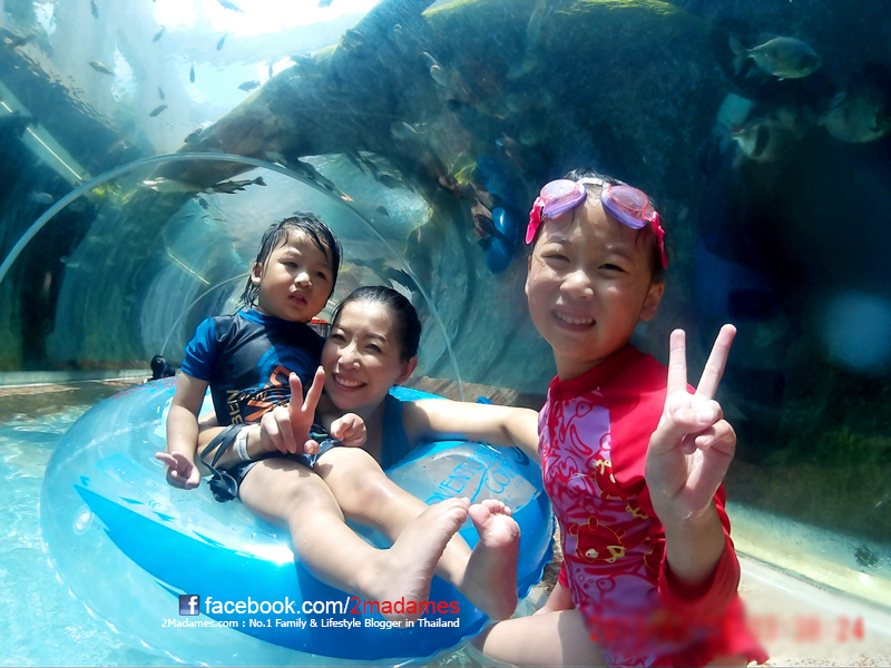 เที่ยวสิงคโปร์ด้วยตัวเอง, Resorts World Sentosa, Universal Studios Singapore, Adventure Cove Waterpark, S.E.A. Aquarium, เที่ยวสวนสนุก, รีวิว, pantip, การใช้อินเตอร์เนตในสิงคโปร์ Starhub, Ya Kun Kaya Toast, Vivo City, Hard Rock Hotel, Feng Shui Inn, เซนโตซ่า, วิธีเข้าเมืองจากสนามบิน Changi Airport, พาลูกเที่ยว Singapore, Gong Cha