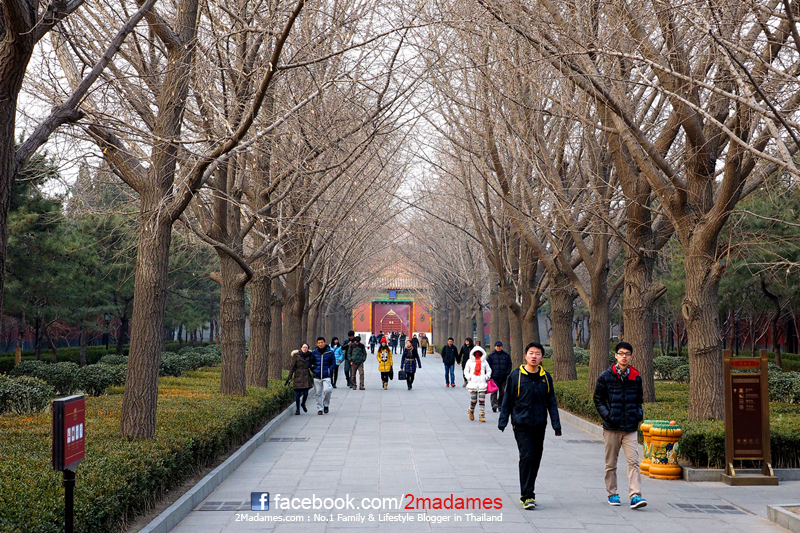 เที่ยวปักกิ่ง ด้วยตัวเอง, เที่ยว Beijing , รีวิว, pantip, ที่กิน, ที่เที่ยว, ช้อปปิ้ง, กำแพงเมืองจีน, พระราชวังต้องห้าม, สนามรังนก, วัดลามะ, ตลาดรัสเซีย, หวังฟู่จิ่ง, เฉียนเหมิน, บ้านโบราณหูท่ง ถนนคนเดินหนานหลัวกู่เซี่ยง, ห้าง The Place, Great Wall, Forbidden City, Tiantan Temple of Heaven, Olympic Stadium, Lama Temple, Wang fu jing, Qianmen, Hutongs