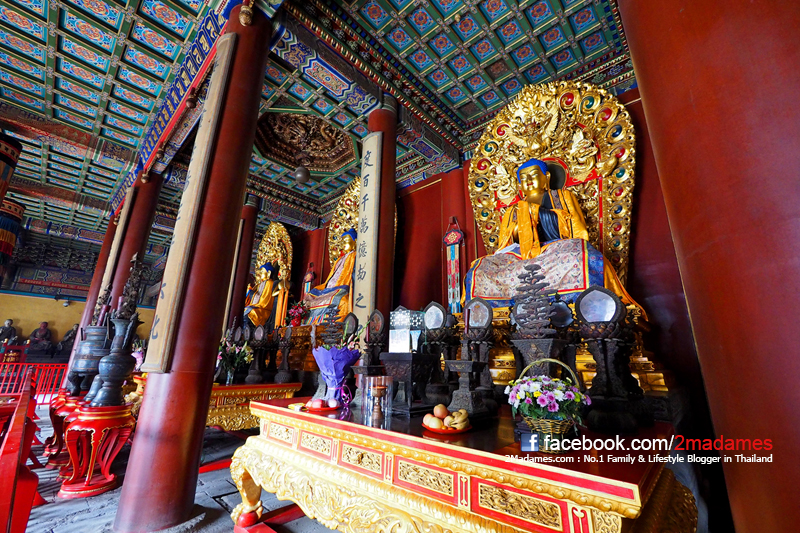 เที่ยวปักกิ่ง ด้วยตัวเอง, เที่ยว Beijing , รีวิว, pantip, ที่กิน, ที่เที่ยว, ช้อปปิ้ง, กำแพงเมืองจีน, พระราชวังต้องห้าม, สนามรังนก, วัดลามะ, ตลาดรัสเซีย, หวังฟู่จิ่ง, เฉียนเหมิน, บ้านโบราณหูท่ง ถนนคนเดินหนานหลัวกู่เซี่ยง, ห้าง The Place, Great Wall, Forbidden City, Tiantan Temple of Heaven, Olympic Stadium, Lama Temple, Wang fu jing, Qianmen, Hutongs