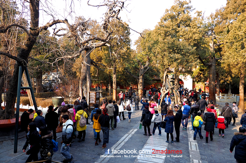 เที่ยวปักกิ่ง ด้วยตัวเอง, เที่ยว Beijing , รีวิว, pantip, ที่กิน, ที่เที่ยว, ช้อปปิ้ง, กำแพงเมืองจีน, พระราชวังต้องห้าม, สนามรังนก, วัดลามะ, ตลาดรัสเซีย, หวังฟู่จิ่ง, เฉียนเหมิน, บ้านโบราณหูท่ง ถนนคนเดินหนานหลัวกู่เซี่ยง, ห้าง The Place, Great Wall, Forbidden City, Tiantan Temple of Heaven, Olympic Stadium, Lama Temple, Wang fu jing, Qianmen, Hutongs