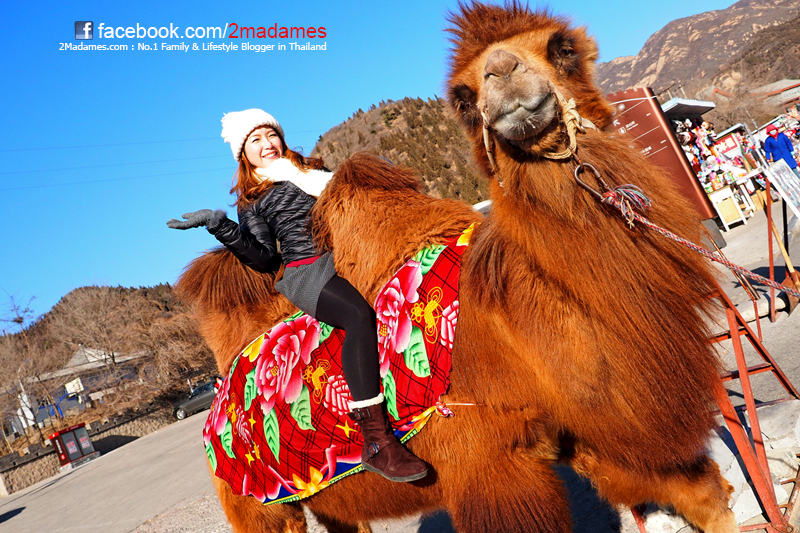 เที่ยวปักกิ่ง ด้วยตัวเอง, เที่ยว Beijing , รีวิว, pantip, ที่กิน, ที่เที่ยว, ช้อปปิ้ง, กำแพงเมืองจีน, พระราชวังต้องห้าม, สนามรังนก, วัดลามะ, ตลาดรัสเซีย, หวังฟู่จิ่ง, เฉียนเหมิน, บ้านโบราณหูท่ง ถนนคนเดินหนานหลัวกู่เซี่ยง, ห้าง The Place, Great Wall, Forbidden City, Tiantan Temple of Heaven, Olympic Stadium, Lama Temple, Wang fu jing, Qianmen, Hutongs