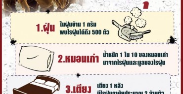 การดูแลที่นอน, ไรฝุ่น, โรคภูมิแพ้, บทความครอบครัว, pantip