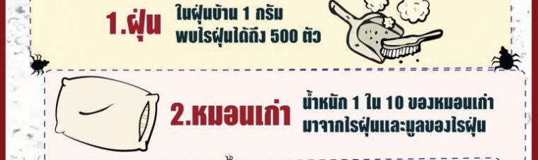 การดูแลที่นอน, ไรฝุ่น, โรคภูมิแพ้, บทความครอบครัว, pantip