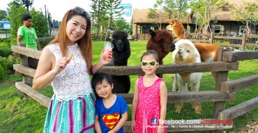 อัลปาก้า หัวหิน,ร้านอาหารใหม่ หัวหิน,Alpaca Restaurant Huahin,รีวิว,pantip,wongnai,แผนที่,เมนู,ราคา,ที่เที่ยวใหม่ หัวหิน,กินอะไรดี