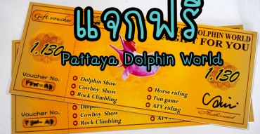 แจกฟรี บัตรเล่นทุกอย่างที่ Pattaya Dolphin World มูลค่ารวม 2,260 บาท