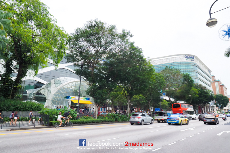 Orchard Road Singapore,ถนนออร์ชาร์ด สิงคโปร์,รีวิว,pantip,Mandarin Orchard Singapore,ช้อปปิ้ง,ครอบครัว,โรงแรมแมนดาริน ออร์ชาร์ด สิงคโปร์,Pompompurin Café,ข้าวมันไก่ CHATTERBOX,Lady M,Hamleys,Smiggle,Shisen Hanten by Chen Kentaro,Mellben Seafood,313@Somerset,Orchard Gateway,Orchard Centre,Paragon,Takashimaya,ION Orchard,Centre Point,Plaza Singapula