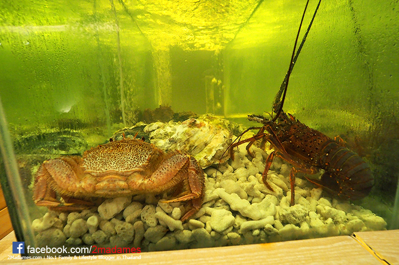 ซูชิโอมากาเสะ,ICHIKA OMAKASE,รีวิว,pantip,ราคา,เมนู,ทานซูชิแบบคอร์ส,โรงแรมแรมแบรนท์,Rembrandt Hotel Bangkok ซอยสุขุมวิท 18