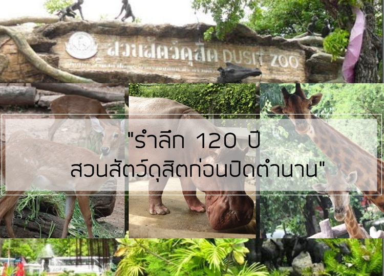 สวนสัตว์ดุสิต,เขาดิน,สวนสัตว์กลางกรุง,บัตรกดเงินสด,สมัครบัตรกดเงินสด,ยูเมะพลัส,เงินฉุกเฉิน,เงินด่วน,วางแผนการเงิน,รำลึก