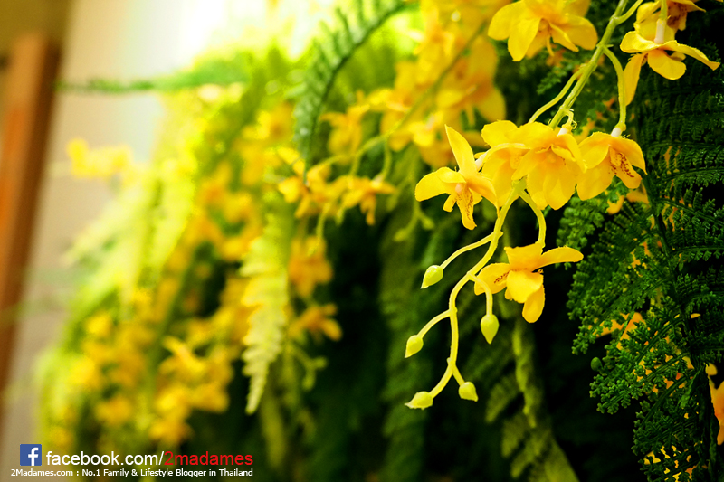 พระราม 9 ไก่ย่าง,รีวิว,The Market Bangkok,เมนู,ราคา,pantip,wongnai,bkkmenu,tripadvisor,กินแหลก