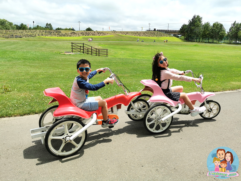 เที่ยวฮอกไกโด,ฮ่องกง,ซัปโปโร,โอตารุ,Kiroro Resort,รีวิว,pantip,ทุ่งดอกไม้,ห้องรับรอง Cathay Pacific,Regal Airport Hotel,Citygate Outlets,The Stay Sapporo,Ganso Sapporo Ramen Street,Le TAO,Ishiya Chocolate Factory,Yakiniku Jin,Satoland,Farm Tomita,Shikisai No Oka,Hill of Buddha,Sapporo Prince Hotel,Tanukikoji Shopping Street,Maruyama Zoo,Akachan Honpo