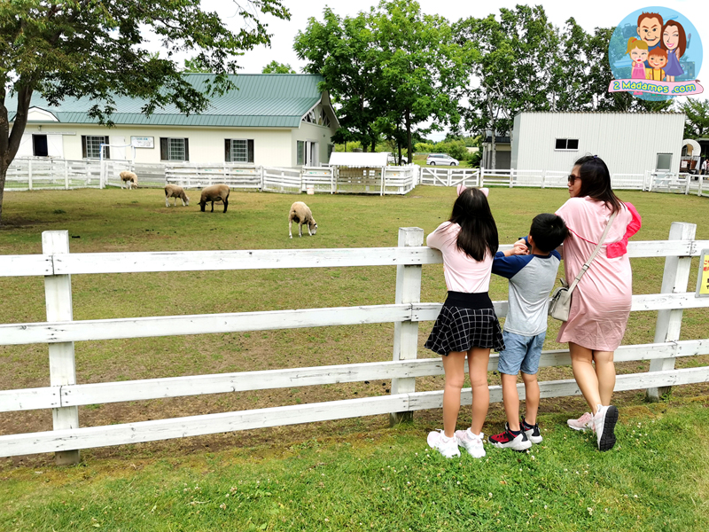 เที่ยวฮอกไกโด,ฮ่องกง,ซัปโปโร,โอตารุ,Kiroro Resort,รีวิว,pantip,ทุ่งดอกไม้,ห้องรับรอง Cathay Pacific,Regal Airport Hotel,Citygate Outlets,The Stay Sapporo,Ganso Sapporo Ramen Street,Le TAO,Ishiya Chocolate Factory,Yakiniku Jin,Satoland,Farm Tomita,Shikisai No Oka,Hill of Buddha,Sapporo Prince Hotel,Tanukikoji Shopping Street,Maruyama Zoo,Akachan Honpo