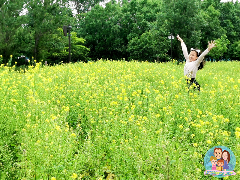 เที่ยวฮอกไกโด,ฮ่องกง,ซัปโปโร,โอตารุ,Kiroro Resort,รีวิว,pantip,ทุ่งดอกไม้,ห้องรับรอง Cathay Pacific,Regal Airport Hotel,Citygate Outlets,The Stay Sapporo,Ganso Sapporo Ramen Street,Le TAO,Ishiya Chocolate Factory,Yakiniku Jin,Satoland,Farm Tomita,Shikisai No Oka,Hill of Buddha,Sapporo Prince Hotel,Tanukikoji Shopping Street,Maruyama Zoo,Akachan Honpo