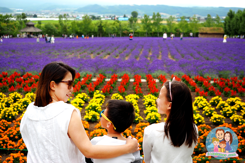 เที่ยวฮอกไกโด,ฮ่องกง,ซัปโปโร,โอตารุ,Kiroro Resort,รีวิว,pantip,ทุ่งดอกไม้,ห้องรับรอง Cathay Pacific,Regal Airport Hotel,Citygate Outlets,The Stay Sapporo,Ganso Sapporo Ramen Street,Le TAO,Ishiya Chocolate Factory,Yakiniku Jin,Satoland,Farm Tomita,Shikisai No Oka,Hill of Buddha,Sapporo Prince Hotel,Tanukikoji Shopping Street,Maruyama Zoo,Akachan Honpo