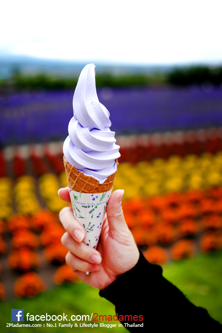 เที่ยวฮอกไกโด,ฮ่องกง,ซัปโปโร,โอตารุ,Kiroro Resort,รีวิว,pantip,ทุ่งดอกไม้,ห้องรับรอง Cathay Pacific,Regal Airport Hotel,Citygate Outlets,The Stay Sapporo,Ganso Sapporo Ramen Street,Le TAO,Ishiya Chocolate Factory,Yakiniku Jin,Satoland,Farm Tomita,Shikisai No Oka,Hill of Buddha,Sapporo Prince Hotel,Tanukikoji Shopping Street,Maruyama Zoo,Akachan Honpo