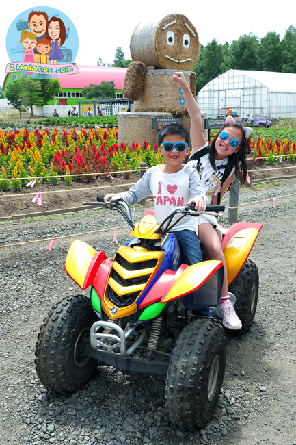 เที่ยวฮอกไกโด,ฮ่องกง,ซัปโปโร,โอตารุ,Kiroro Resort,รีวิว,pantip,ทุ่งดอกไม้,ห้องรับรอง Cathay Pacific,Regal Airport Hotel,Citygate Outlets,The Stay Sapporo,Ganso Sapporo Ramen Street,Le TAO,Ishiya Chocolate Factory,Yakiniku Jin,Satoland,Farm Tomita,Shikisai No Oka,Hill of Buddha,Sapporo Prince Hotel,Tanukikoji Shopping Street,Maruyama Zoo,Akachan Honpo