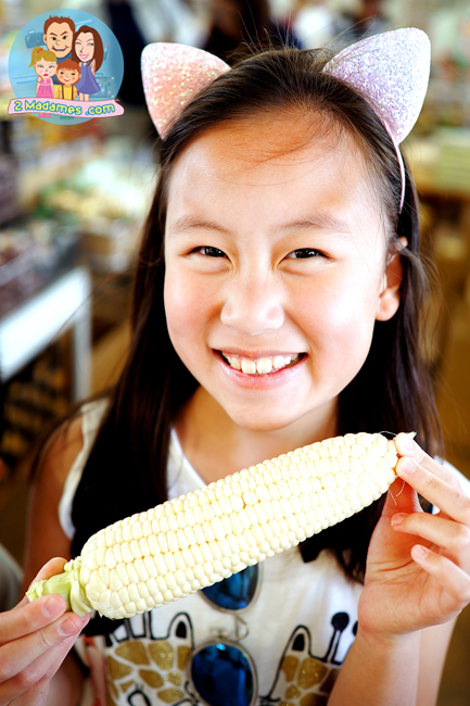 เที่ยวฮอกไกโด,ฮ่องกง,ซัปโปโร,โอตารุ,Kiroro Resort,รีวิว,pantip,ทุ่งดอกไม้,ห้องรับรอง Cathay Pacific,Regal Airport Hotel,Citygate Outlets,The Stay Sapporo,Ganso Sapporo Ramen Street,Le TAO,Ishiya Chocolate Factory,Yakiniku Jin,Satoland,Farm Tomita,Shikisai No Oka,Hill of Buddha,Sapporo Prince Hotel,Tanukikoji Shopping Street,Maruyama Zoo,Akachan Honpo