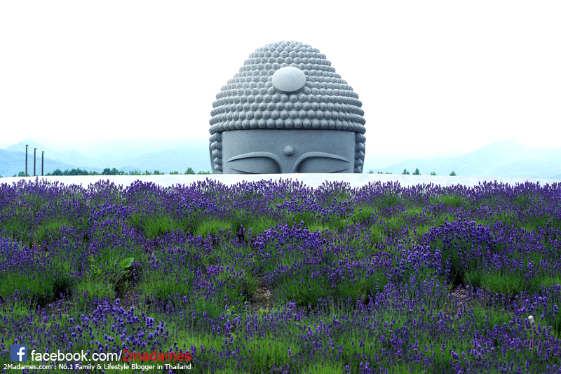 เที่ยวฮอกไกโด,ฮ่องกง,ซัปโปโร,โอตารุ,Kiroro Resort,รีวิว,pantip,ทุ่งดอกไม้,ห้องรับรอง Cathay Pacific,Regal Airport Hotel,Citygate Outlets,The Stay Sapporo,Ganso Sapporo Ramen Street,Le TAO,Ishiya Chocolate Factory,Yakiniku Jin,Satoland,Farm Tomita,Shikisai No Oka,Hill of Buddha,Sapporo Prince Hotel,Tanukikoji Shopping Street,Maruyama Zoo,Akachan Honpo