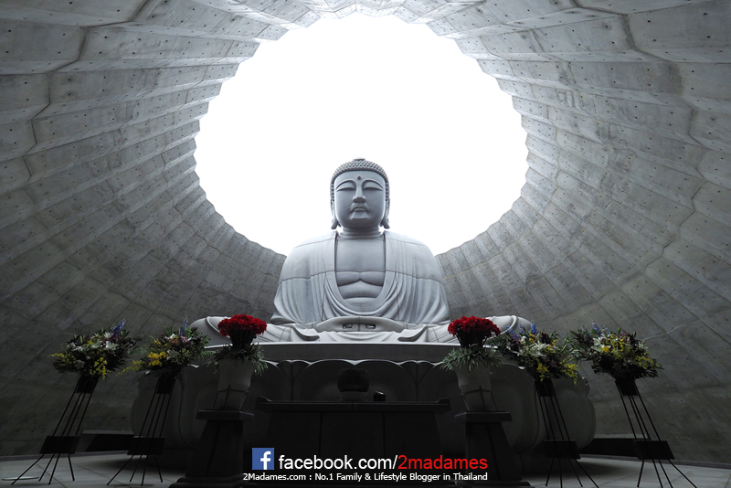 เที่ยวฮอกไกโด,ฮ่องกง,ซัปโปโร,โอตารุ,Kiroro Resort,รีวิว,pantip,ทุ่งดอกไม้,ห้องรับรอง Cathay Pacific,Regal Airport Hotel,Citygate Outlets,The Stay Sapporo,Ganso Sapporo Ramen Street,Le TAO,Ishiya Chocolate Factory,Yakiniku Jin,Satoland,Farm Tomita,Shikisai No Oka,Hill of Buddha,Sapporo Prince Hotel,Tanukikoji Shopping Street,Maruyama Zoo,Akachan Honpo