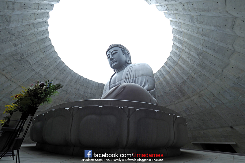 เที่ยวฮอกไกโด,ฮ่องกง,ซัปโปโร,โอตารุ,Kiroro Resort,รีวิว,pantip,ทุ่งดอกไม้,ห้องรับรอง Cathay Pacific,Regal Airport Hotel,Citygate Outlets,The Stay Sapporo,Ganso Sapporo Ramen Street,Le TAO,Ishiya Chocolate Factory,Yakiniku Jin,Satoland,Farm Tomita,Shikisai No Oka,Hill of Buddha,Sapporo Prince Hotel,Tanukikoji Shopping Street,Maruyama Zoo,Akachan Honpo