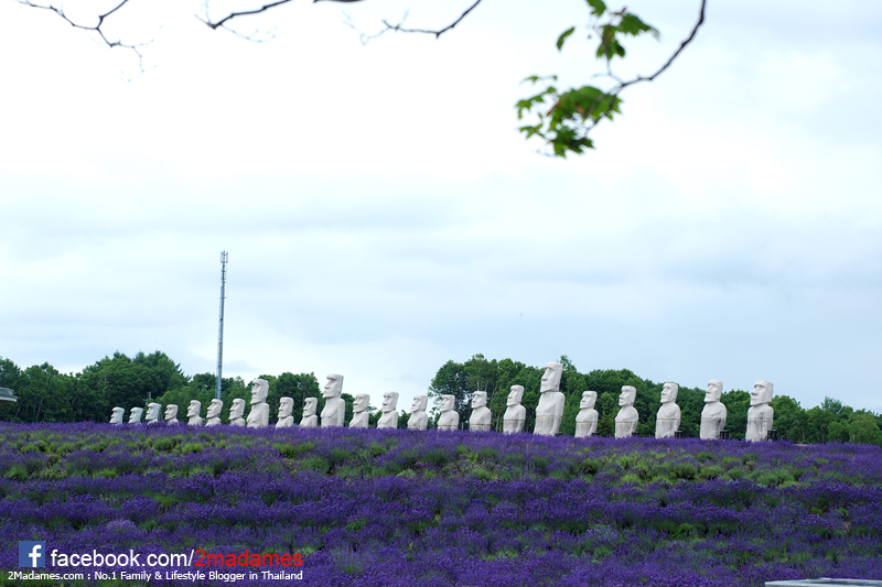 เที่ยวฮอกไกโด,ฮ่องกง,ซัปโปโร,โอตารุ,Kiroro Resort,รีวิว,pantip,ทุ่งดอกไม้,ห้องรับรอง Cathay Pacific,Regal Airport Hotel,Citygate Outlets,The Stay Sapporo,Ganso Sapporo Ramen Street,Le TAO,Ishiya Chocolate Factory,Yakiniku Jin,Satoland,Farm Tomita,Shikisai No Oka,Hill of Buddha,Sapporo Prince Hotel,Tanukikoji Shopping Street,Maruyama Zoo,Akachan Honpo