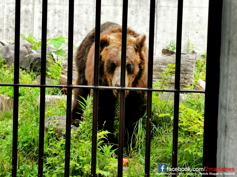 เที่ยวฮอกไกโด,ฮ่องกง,ซัปโปโร,โอตารุ,Kiroro Resort,รีวิว,pantip,ทุ่งดอกไม้,ห้องรับรอง Cathay Pacific,Regal Airport Hotel,Citygate Outlets,The Stay Sapporo,Ganso Sapporo Ramen Street,Le TAO,Ishiya Chocolate Factory,Yakiniku Jin,Satoland,Farm Tomita,Shikisai No Oka,Hill of Buddha,Sapporo Prince Hotel,Tanukikoji Shopping Street,Maruyama Zoo,Akachan Honpo