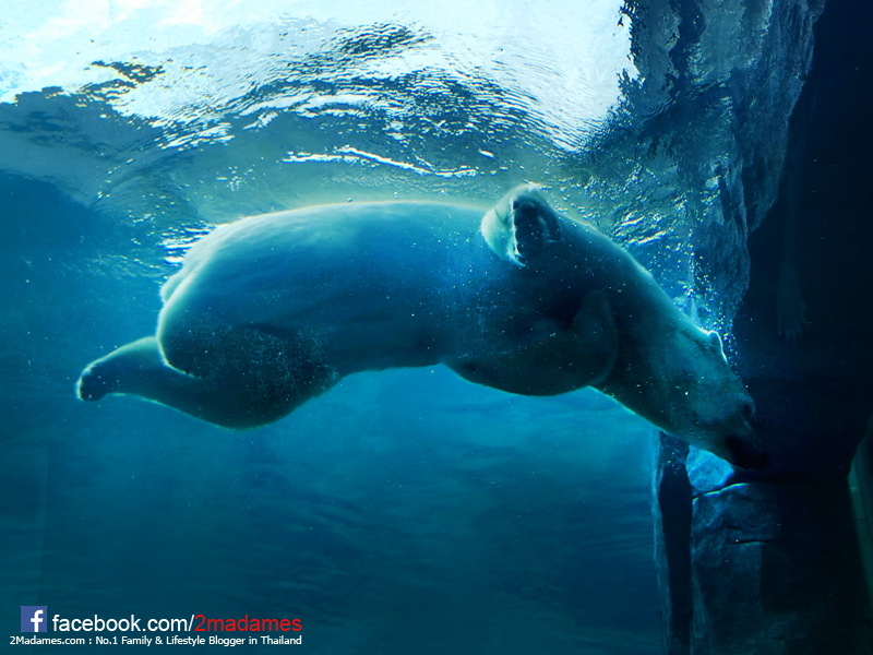 เที่ยวฮอกไกโด,ฮ่องกง,ซัปโปโร,โอตารุ,Kiroro Resort,รีวิว,pantip,ทุ่งดอกไม้,ห้องรับรอง Cathay Pacific,Regal Airport Hotel,Citygate Outlets,The Stay Sapporo,Ganso Sapporo Ramen Street,Le TAO,Ishiya Chocolate Factory,Yakiniku Jin,Satoland,Farm Tomita,Shikisai No Oka,Hill of Buddha,Sapporo Prince Hotel,Tanukikoji Shopping Street,Maruyama Zoo,Akachan Honpo