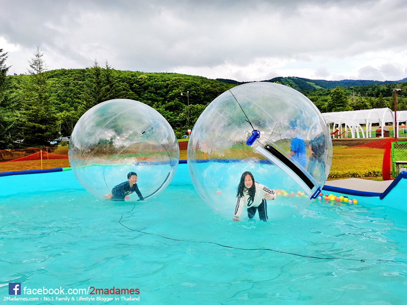 เที่ยวฮอกไกโด,ฮ่องกง,ซัปโปโร,โอตารุ,Kiroro Resort,รีวิว,pantip,ทุ่งดอกไม้,ห้องรับรอง Cathay Pacific,Regal Airport Hotel,Citygate Outlets,The Stay Sapporo,Ganso Sapporo Ramen Street,Le TAO,Ishiya Chocolate Factory,Yakiniku Jin,Satoland,Farm Tomita,Shikisai No Oka,Hill of Buddha,Sapporo Prince Hotel,Tanukikoji Shopping Street,Maruyama Zoo,Akachan Honpo