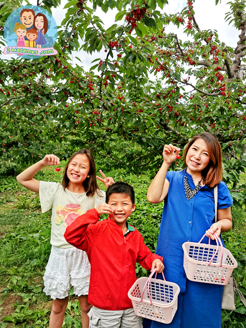 เที่ยวฮอกไกโด,ฮ่องกง,ซัปโปโร,โอตารุ,Kiroro Resort,รีวิว,pantip,ทุ่งดอกไม้,ห้องรับรอง Cathay Pacific,Regal Airport Hotel,Citygate Outlets,The Stay Sapporo,Ganso Sapporo Ramen Street,Le TAO,Ishiya Chocolate Factory,Yakiniku Jin,Satoland,Farm Tomita,Shikisai No Oka,Hill of Buddha,Sapporo Prince Hotel,Tanukikoji Shopping Street,Maruyama Zoo,Akachan Honpo