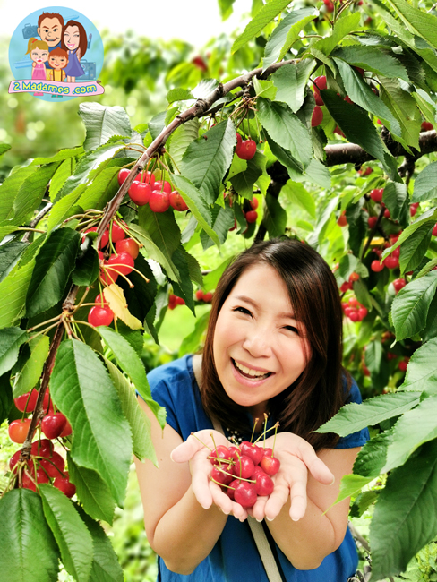 เที่ยวฮอกไกโด,ฮ่องกง,ซัปโปโร,โอตารุ,Kiroro Resort,รีวิว,pantip,ทุ่งดอกไม้,ห้องรับรอง Cathay Pacific,Regal Airport Hotel,Citygate Outlets,The Stay Sapporo,Ganso Sapporo Ramen Street,Le TAO,Ishiya Chocolate Factory,Yakiniku Jin,Satoland,Farm Tomita,Shikisai No Oka,Hill of Buddha,Sapporo Prince Hotel,Tanukikoji Shopping Street,Maruyama Zoo,Akachan Honpo