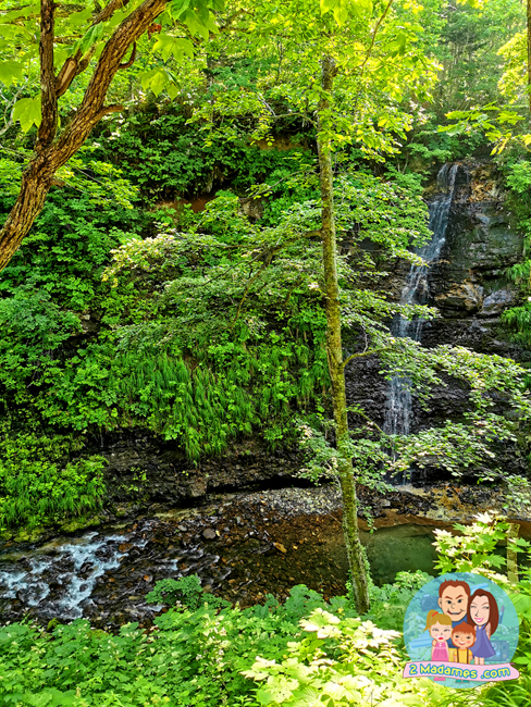 เที่ยวฮอกไกโด,ฮ่องกง,ซัปโปโร,โอตารุ,Kiroro Resort,รีวิว,pantip,ทุ่งดอกไม้,ห้องรับรอง Cathay Pacific,Regal Airport Hotel,Citygate Outlets,The Stay Sapporo,Ganso Sapporo Ramen Street,Le TAO,Ishiya Chocolate Factory,Yakiniku Jin,Satoland,Farm Tomita,Shikisai No Oka,Hill of Buddha,Sapporo Prince Hotel,Tanukikoji Shopping Street,Maruyama Zoo,Akachan Honpo