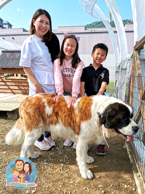 เที่ยวฮอกไกโด,ฮ่องกง,ซัปโปโร,โอตารุ,Kiroro Resort,รีวิว,pantip,ทุ่งดอกไม้,ห้องรับรอง Cathay Pacific,Regal Airport Hotel,Citygate Outlets,The Stay Sapporo,Ganso Sapporo Ramen Street,Le TAO,Ishiya Chocolate Factory,Yakiniku Jin,Satoland,Farm Tomita,Shikisai No Oka,Hill of Buddha,Sapporo Prince Hotel,Tanukikoji Shopping Street,Maruyama Zoo,Akachan Honpo