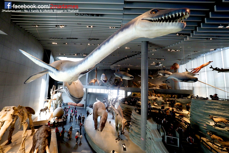 เที่ยวเซี่ยงไฮ้ด้วยตัวเอง,Toy Story Hotel,Shanghai Disneyland,Xintiandi,รีวิว,pantip,Yuyuan Garden,Starbucks Reserve Roastery,Shanghai Natural History Museum,Hai Di Lao,Shanghai Tower,Cha's Restaurant,Nanjing Road Pedestrian Street,The Bund,Bund Sightseeing Tunnel,Jing’an Temple,Zhujiajiao,Shake Shack