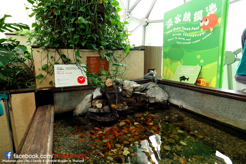 เที่ยวเซี่ยงไฮ้ด้วยตัวเอง,Toy Story Hotel,Shanghai Disneyland,Xintiandi,รีวิว,pantip,Yuyuan Garden,Starbucks Reserve Roastery,Shanghai Natural History Museum,Hai Di Lao,Shanghai Tower,Cha's Restaurant,Nanjing Road Pedestrian Street,The Bund,Bund Sightseeing Tunnel,Jing’an Temple,Zhujiajiao,Shake Shack