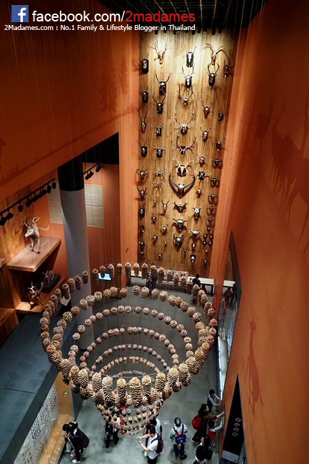 เที่ยวเซี่ยงไฮ้ด้วยตัวเอง,Toy Story Hotel,Shanghai Disneyland,Xintiandi,รีวิว,pantip,Yuyuan Garden,Starbucks Reserve Roastery,Shanghai Natural History Museum,Hai Di Lao,Shanghai Tower,Cha's Restaurant,Nanjing Road Pedestrian Street,The Bund,Bund Sightseeing Tunnel,Jing’an Temple,Zhujiajiao,Shake Shack