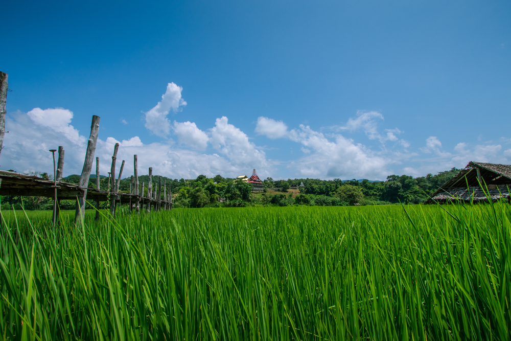 เที่ยวแม่ฮ่องสอน,รีวิว,pantip,พระธาตุดอยกองมู,สะพานซูตองเป้,ปางอุ๋ง,หมู่บ้านรักไทย,ถ้ำลอดปางมะผ้า,ก๋วยเตี๋ยวห้อยขาจ่าโบ่,Traveloka
