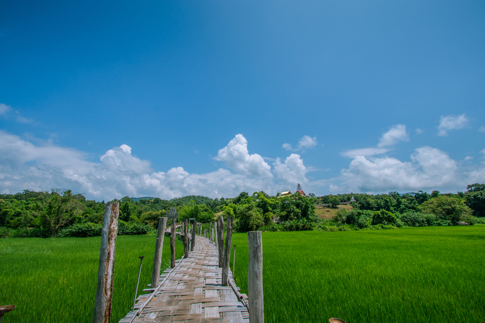 เที่ยวแม่ฮ่องสอน,รีวิว,pantip,พระธาตุดอยกองมู,สะพานซูตองเป้,ปางอุ๋ง,หมู่บ้านรักไทย,ถ้ำลอดปางมะผ้า,ก๋วยเตี๋ยวห้อยขาจ่าโบ่,Traveloka