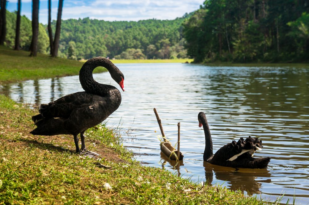 เที่ยวแม่ฮ่องสอน,รีวิว,pantip,พระธาตุดอยกองมู,สะพานซูตองเป้,ปางอุ๋ง,หมู่บ้านรักไทย,ถ้ำลอดปางมะผ้า,ก๋วยเตี๋ยวห้อยขาจ่าโบ่,Traveloka
