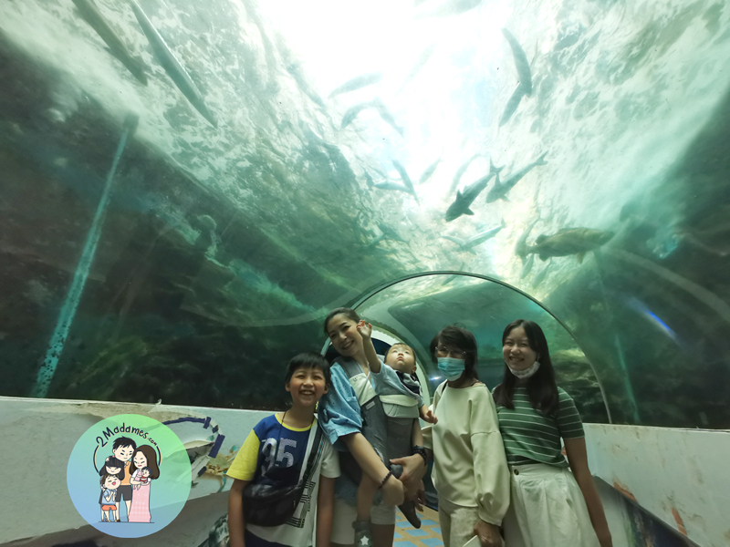 เที่ยวจันทบุรี,ที่กิน,โรงแรมชานบุรี,Chaanburi Boutique Resort,รีวิว,pantip,ร้านพริก,Pool access,อาหารเช้า,Sky View Cafe,ส้มตําเจ๊ลักษณ์,อ่าวคุ้งกระเบน,aquarium,ให้อาหารฉลาม,จุดชมวิวนางพญา,เจดีย์กลางน้ำ,ก๋วยเตี๋ยวท่าใหม่,ก๋วยเตี๋ยวบ้านบึง