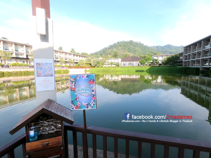 The Sands Khao Lak by Katathani,เดอะ แซนด์ เขาหลัก บาย กะตะธานี,รีวิว,pantip,สวนน้ำ,อาหาร,แผนที่,เมนู,ราคา,ที่พัก,โรงแรม,รีสอร์ท,พังงา