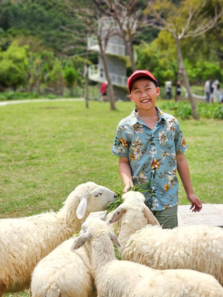 เที่ยวคัมรานห์,Cam Ranh,pantip,รีวิว,Tu Van Pagoda,Sheep Farm,ที่เที่ยวสำหรับครอบครัว