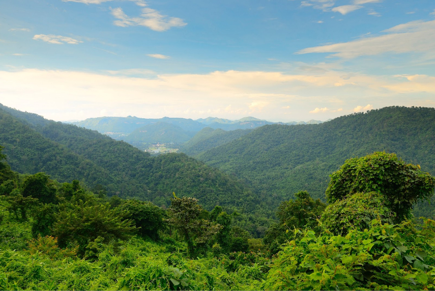 ที่พักเขาใหญ่ แนะนำ